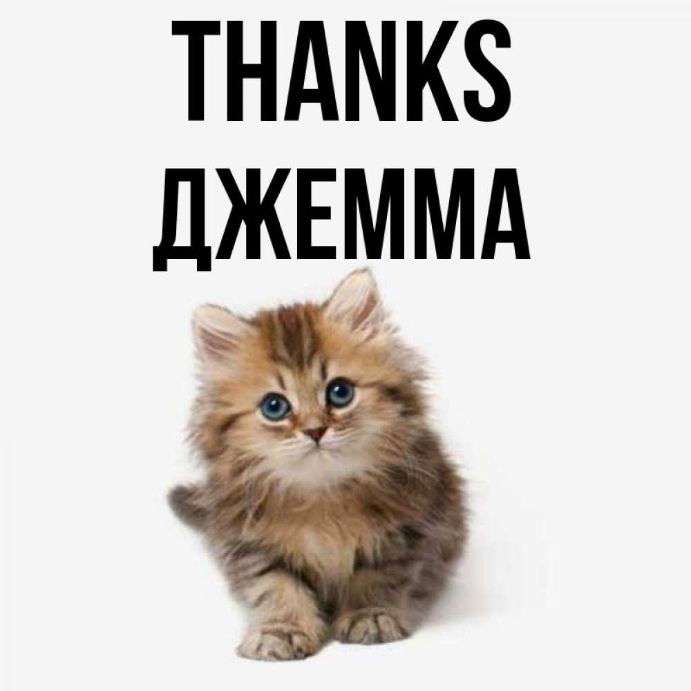 Greetings card с именем, Джемма Thanks пушистый котик Greetings with text for free download 