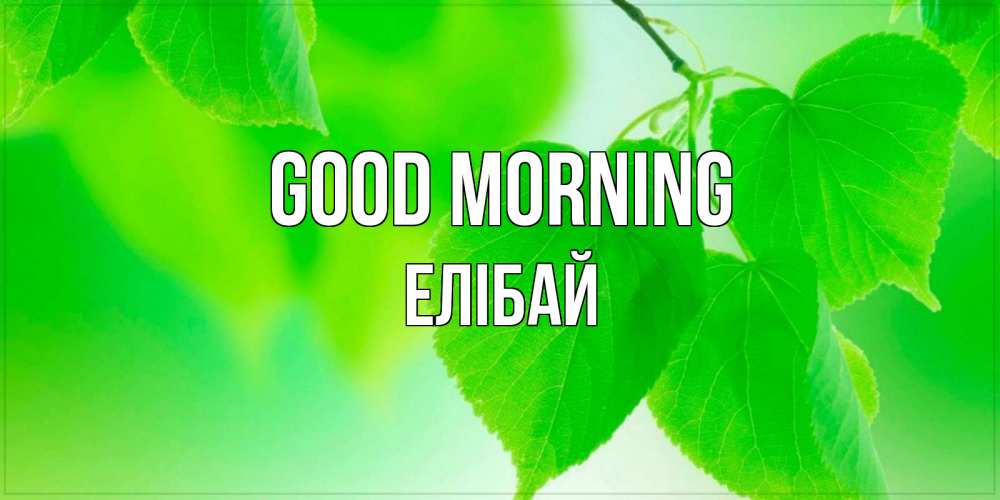 Greetings card с именем, Елібай Good morning доброе утро с березовыми листьями Greetings with text for free download 