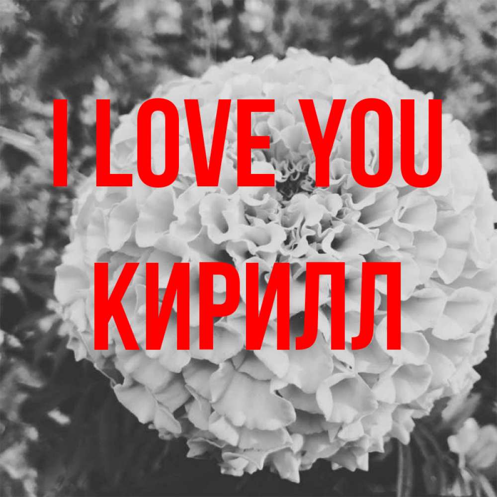 Greetings card с именем, Кирилл I love you подпись Greetings with text for free download 