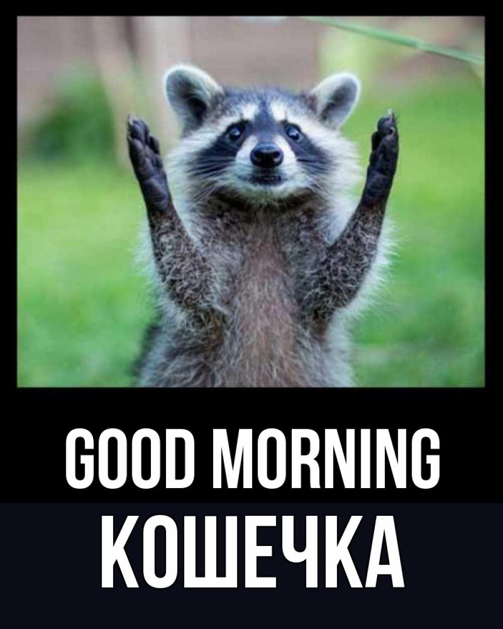 Greetings card с именем, Кошечка Good morning хорошее настроение утречком Greetings with text for free download 