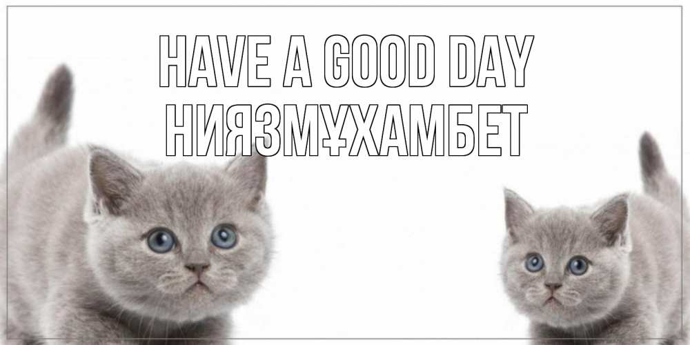 Greetings card с именем, НИЯЗМҰХАМБЕТ Have a good day открытка с котами Greetings with text for free download 