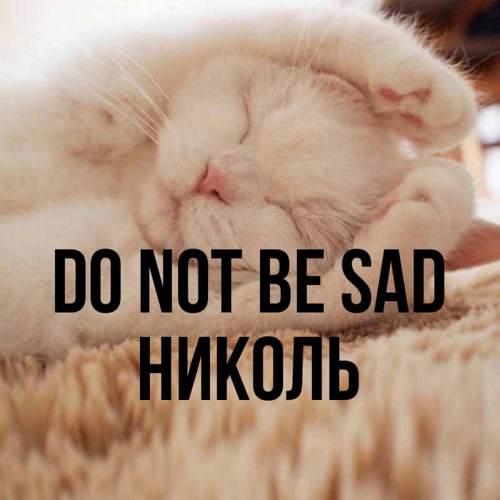 Greetings card с именем, Николь Do not be sad Котенок спит Greetings with text for free download 