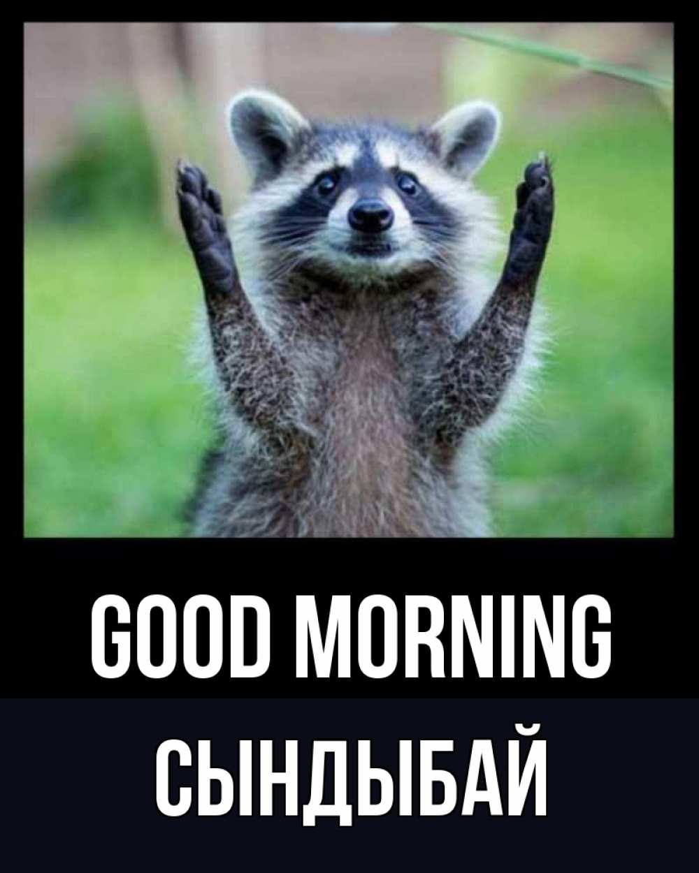 Greetings card с именем, СЫНДЫБАЙ Good morning хорошее настроение утречком Greetings with text for free download 