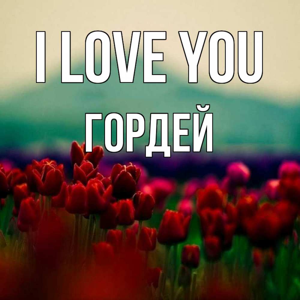 Greetings card с именем, Гордей I love you тюльпаны 4 Greetings with text for free download 