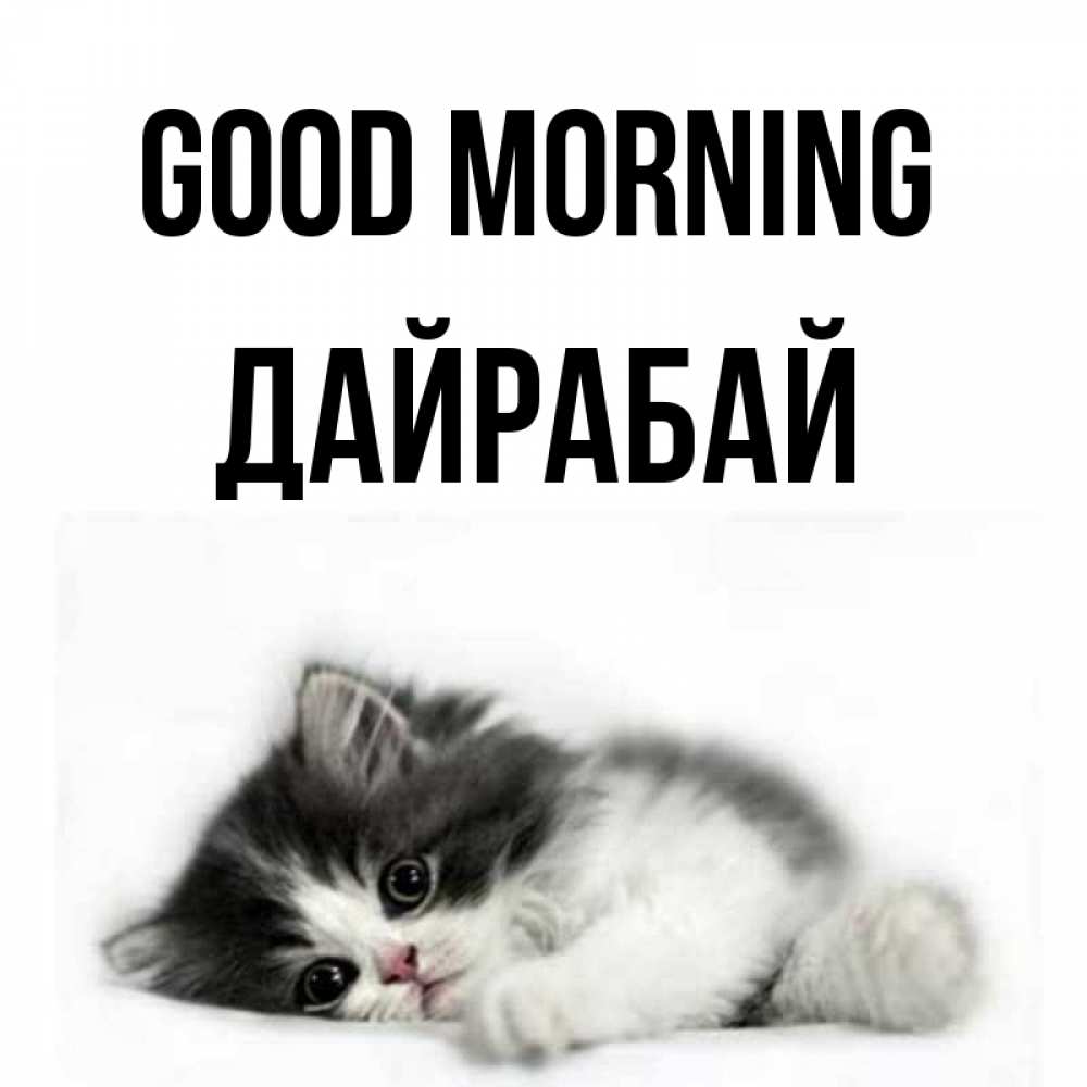 Greetings card с именем, Дайрабай Good morning кот лапки Greetings with text for free download 