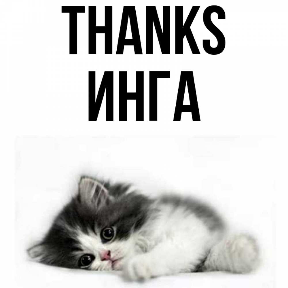 Greetings card с именем, Инга Thanks черный и белый кот Greetings with text for free download 