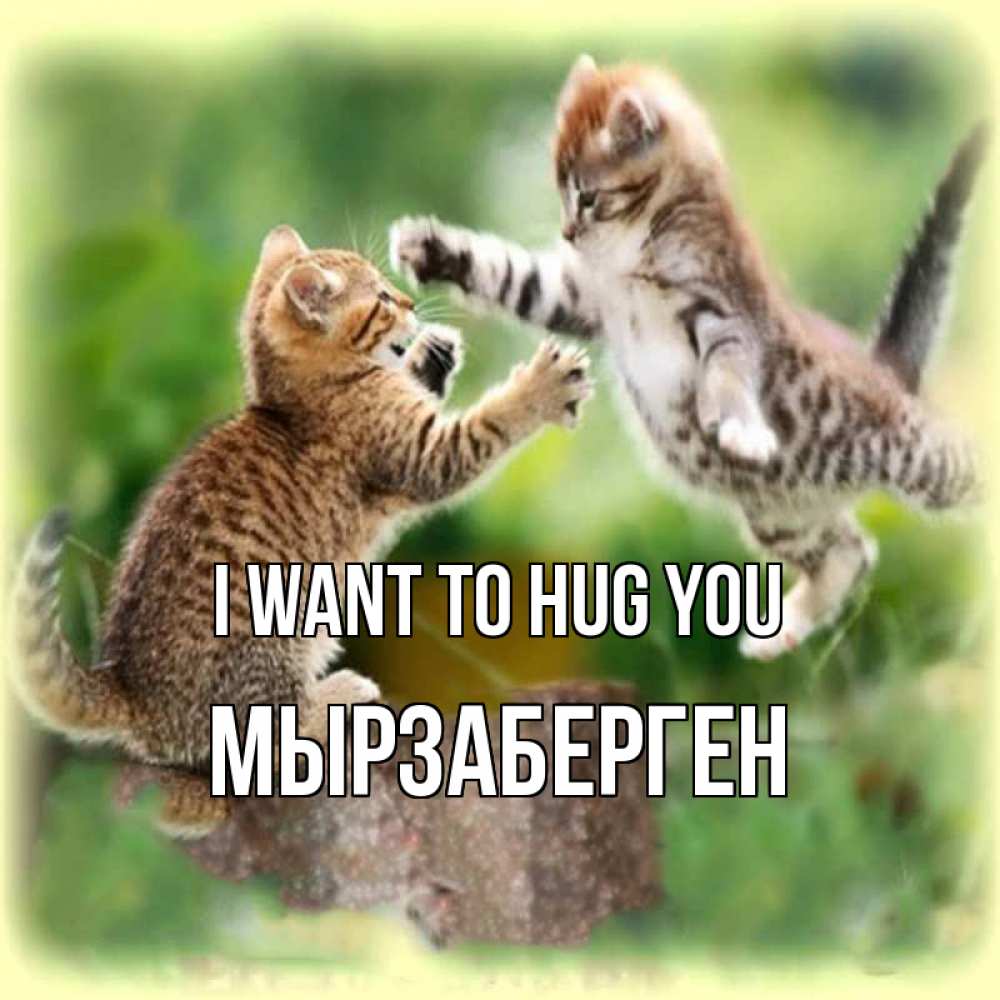 Greetings card с именем, Мырзаберген I want to hug you игры котят Greetings with text for free download 
