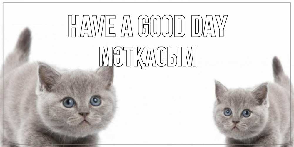 Greetings card с именем, МӘТҚАСЫМ Have a good day открытка с котами Greetings with text for free download 
