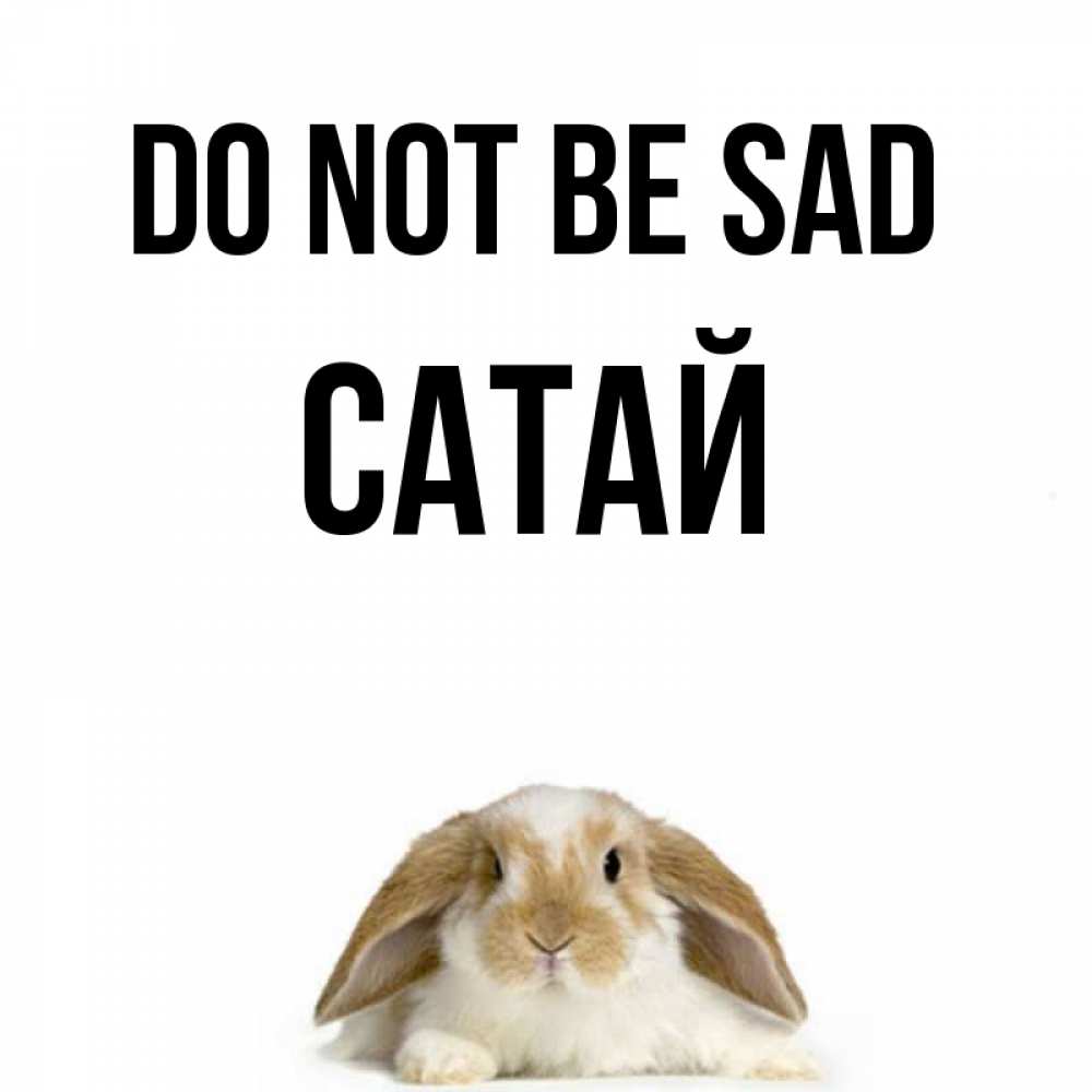 Greetings card с именем, САТАЙ Do not be sad коричнево белый заяц с большими ушками Greetings with text for free download 