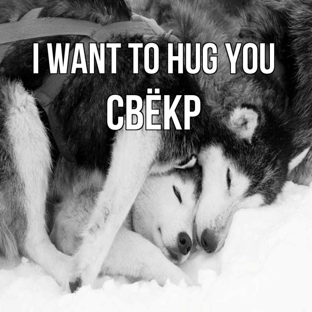 Greetings card с именем, Свёкр I want to hug you собачки в упряжке Greetings with text for free download 