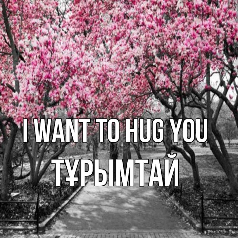 Greetings card с именем, ТҰРЫМТАЙ I want to hug you обработанное фото Greetings with text for free download 