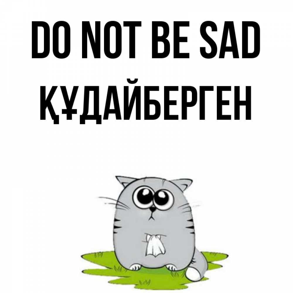 Greetings card с именем, ҚҰДАЙБЕРГЕН Do not be sad грустный котяра Greetings with text for free download 