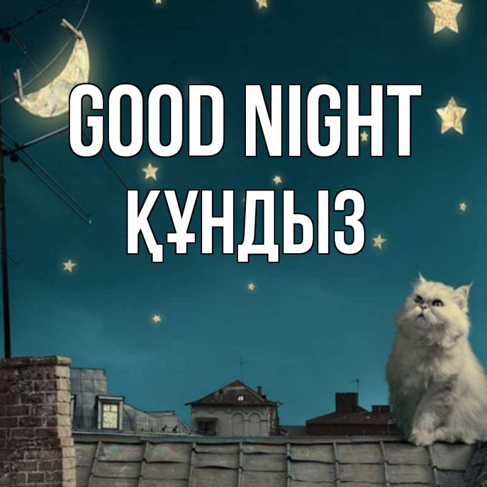 Greetings card с именем, ҚҰНДЫЗ Good night белый кот сидит на крыше Greetings with text for free download 
