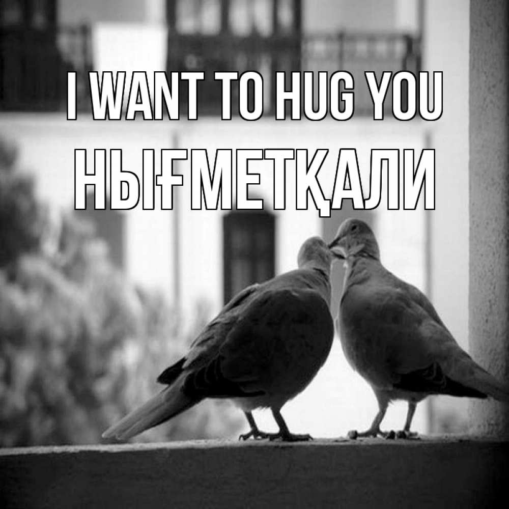 Greetings card с именем, НЫҒМЕТҚАЛИ I want to hug you птицы на подоконнике Greetings with text for free download 