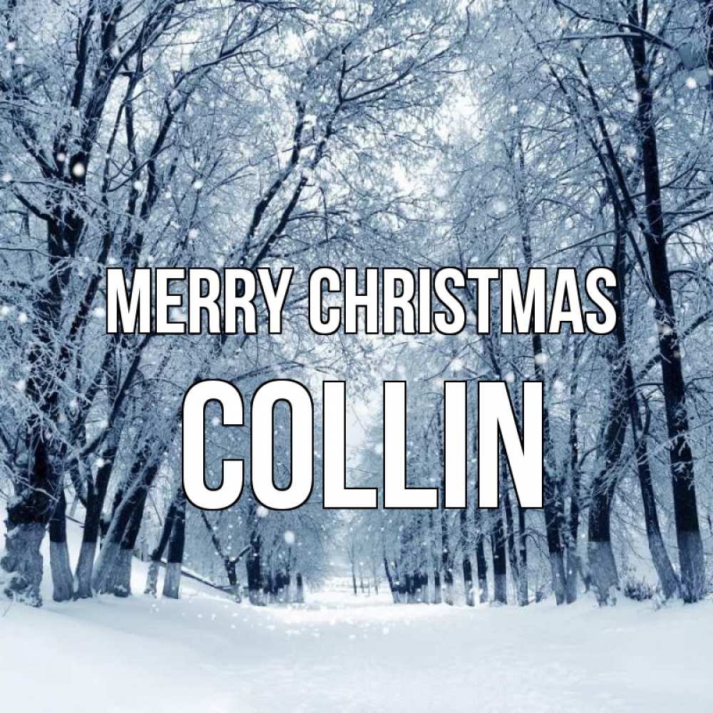 Greetings card с именем, Collin Merry Christmas снег, лес, парк Greetings with text for free download 