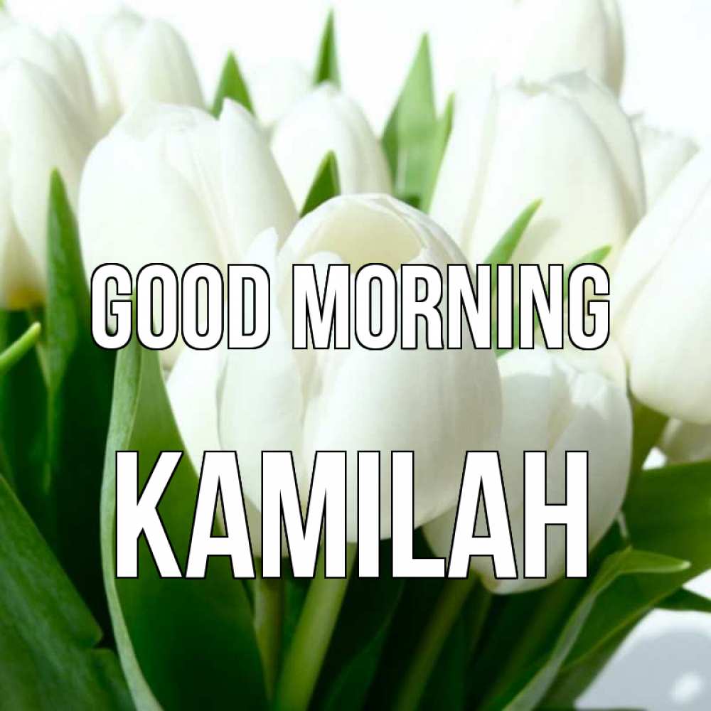 Greetings card с именем, Kamilah Good morning открытки на каждый день по именам Greetings with text for free download 