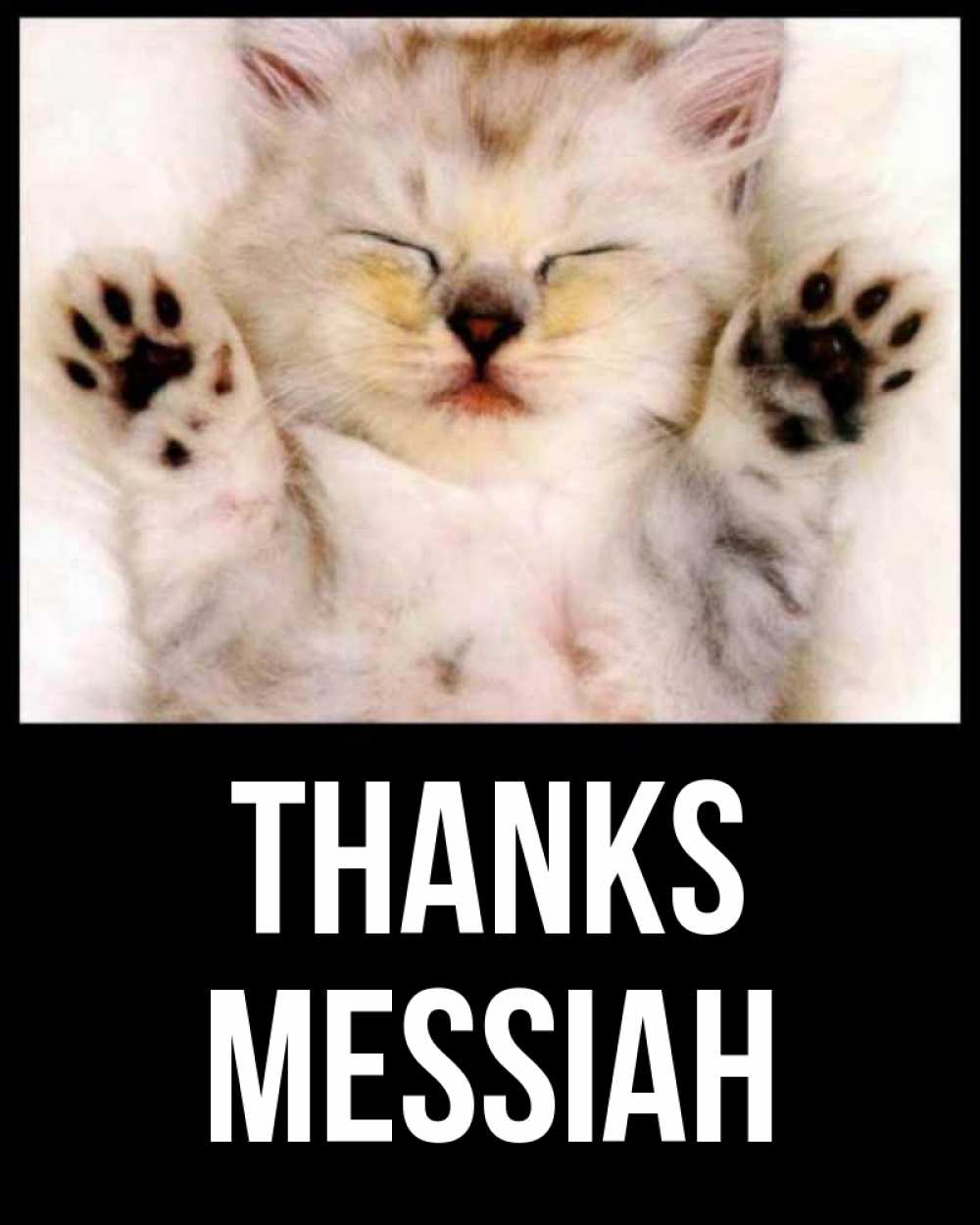 Greetings card с именем, Messiah Thanks маленький котенок Greetings with text for free download 