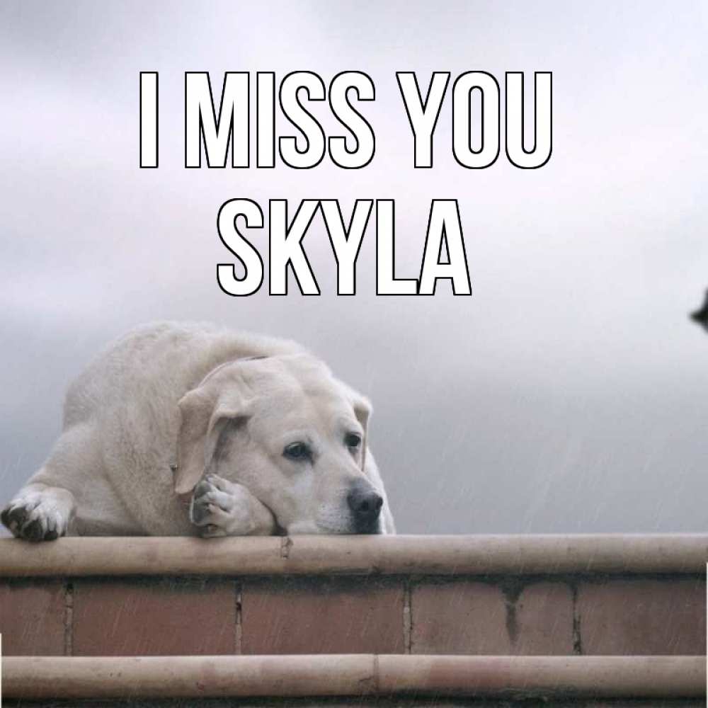 Greetings card с именем, Skyla I miss you ждет Greetings with text for free download 