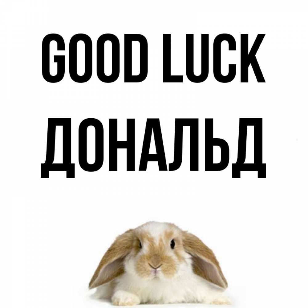 Greetings card с именем, Дональд Good luck открытки с произвольным текстом который можно вставить в открытку и создать ее самостоятельно бесплатно онлайн Greetings with text for free download 
