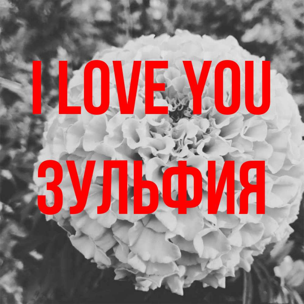 Greetings card с именем, Зульфия I love you подпись Greetings with text for free download 