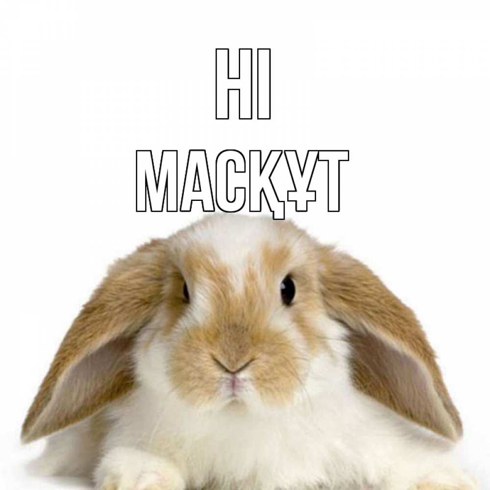Greetings card с именем, МАСҚҰТ Hi с животными Greetings with text for free download 