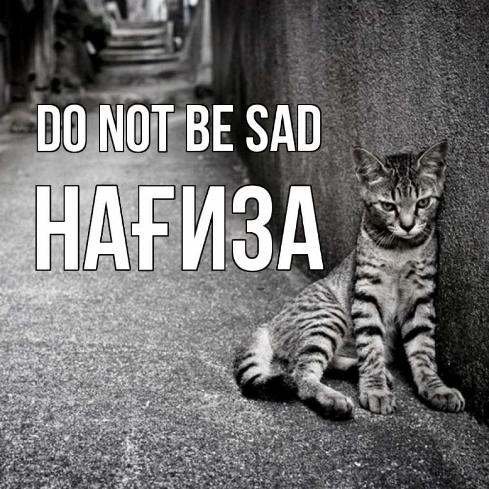 Greetings card с именем, НАҒИЗА Do not be sad скучающий котик Greetings with text for free download 
