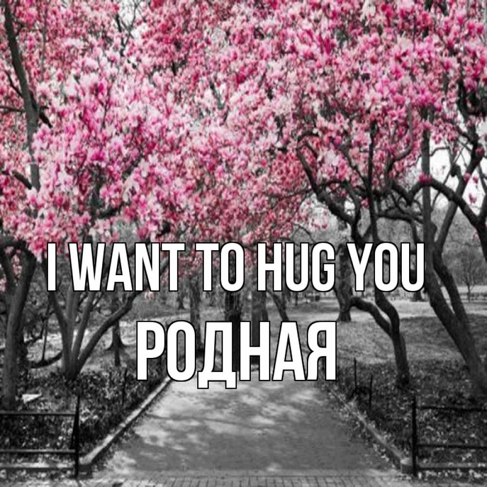Greetings card с именем, Родная I want to hug you обработанное фото Greetings with text for free download 