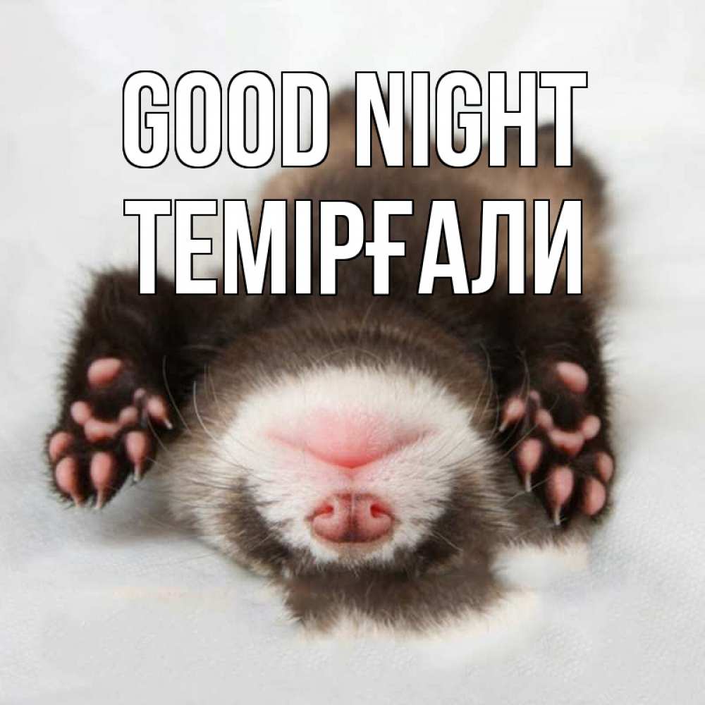 Greetings card с именем, ТЕМІРҒАЛИ Good night зверек Greetings with text for free download 