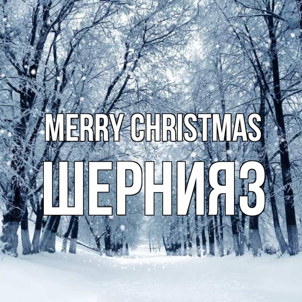 Greetings card с именем, ШЕРНИЯЗ Merry Christmas снег, лес, парк Greetings with text for free download 