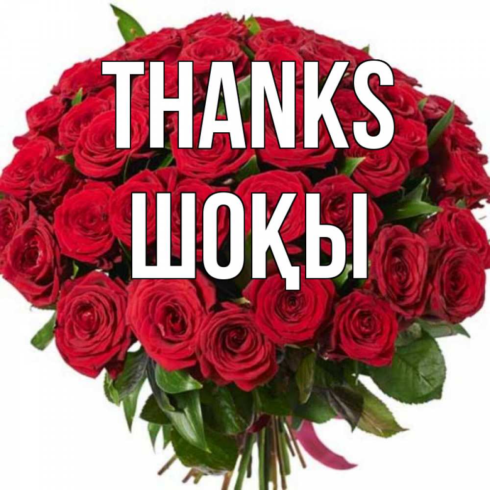 Greetings card с именем, ШОҚЫ Thanks букет красных роз Greetings with text for free download 