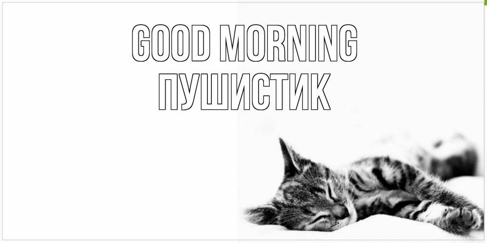 Greetings card с именем, Пушистик Good morning котуся Greetings with text for free download 