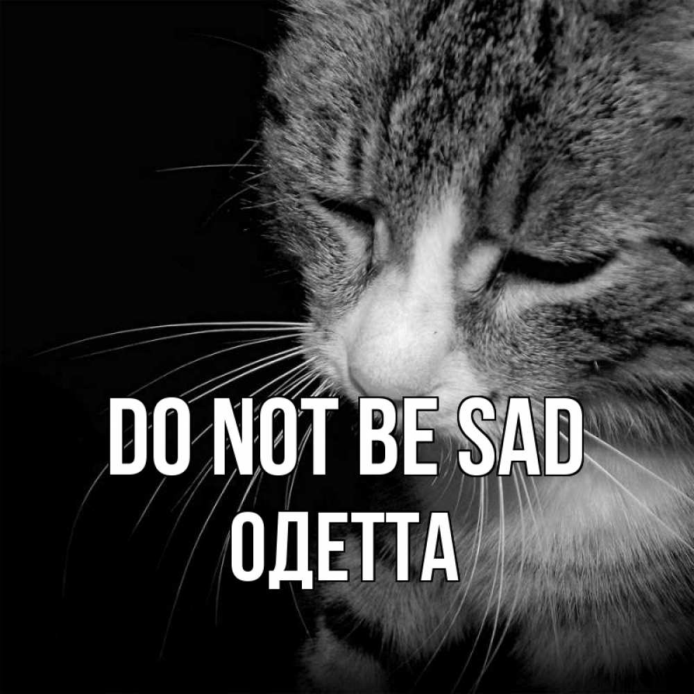 Greetings card с именем, Одетта Do not be sad грустный котик Greetings with text for free download 