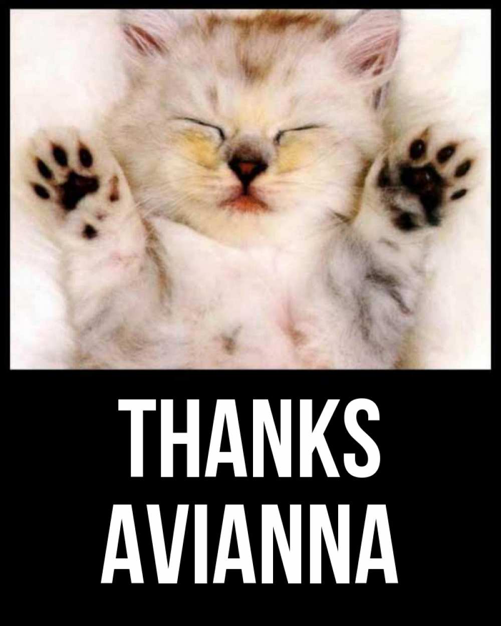 Greetings card с именем, Avianna Thanks маленький котенок Greetings with text for free download 