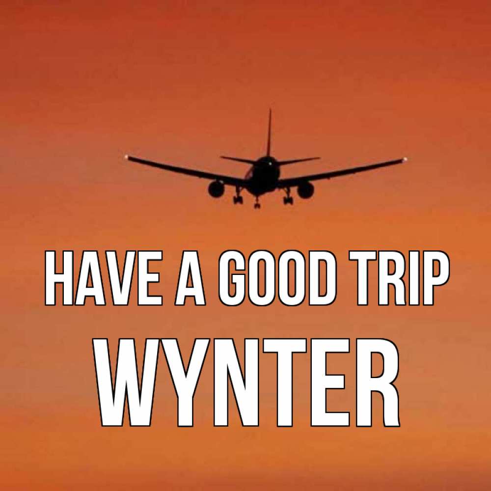 Greetings card с именем, Wynter Have a good trip силуэт самолета Greetings with text for free download 