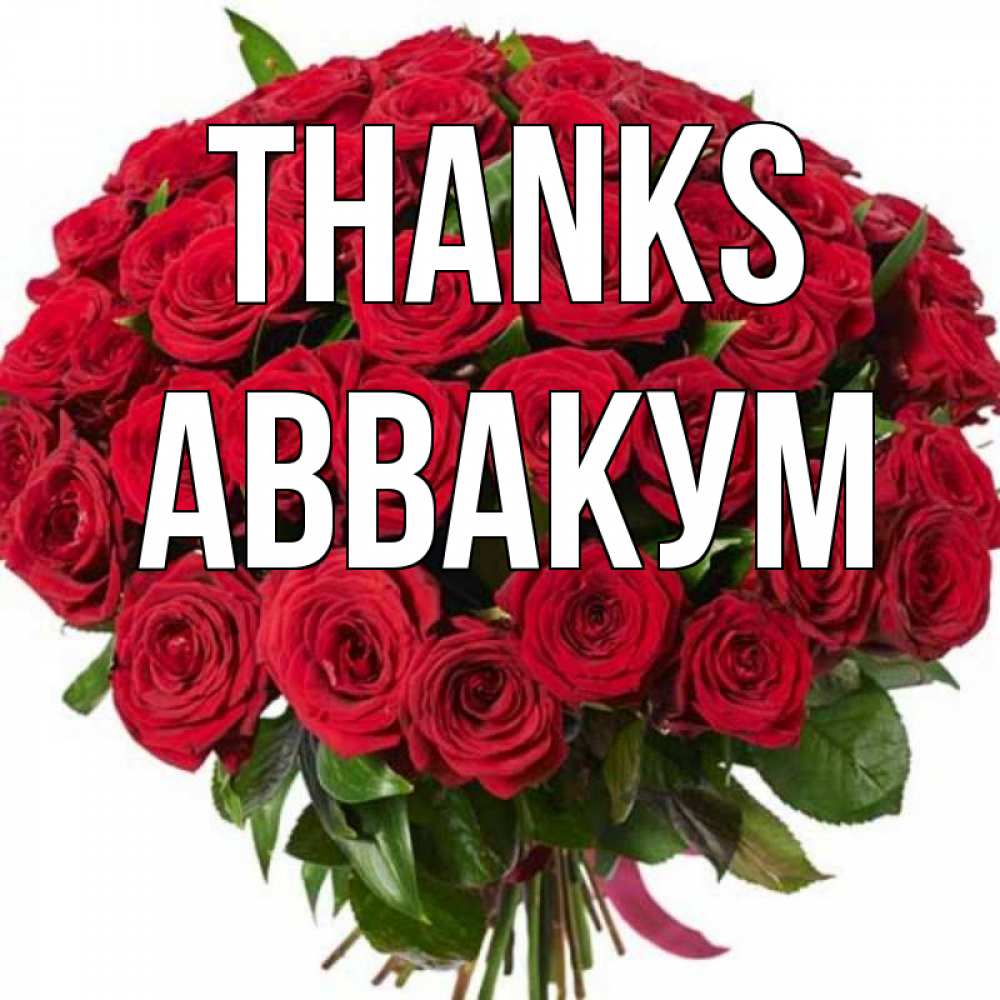 Greetings card с именем, Аввакум Thanks букет красных роз Greetings with text for free download 