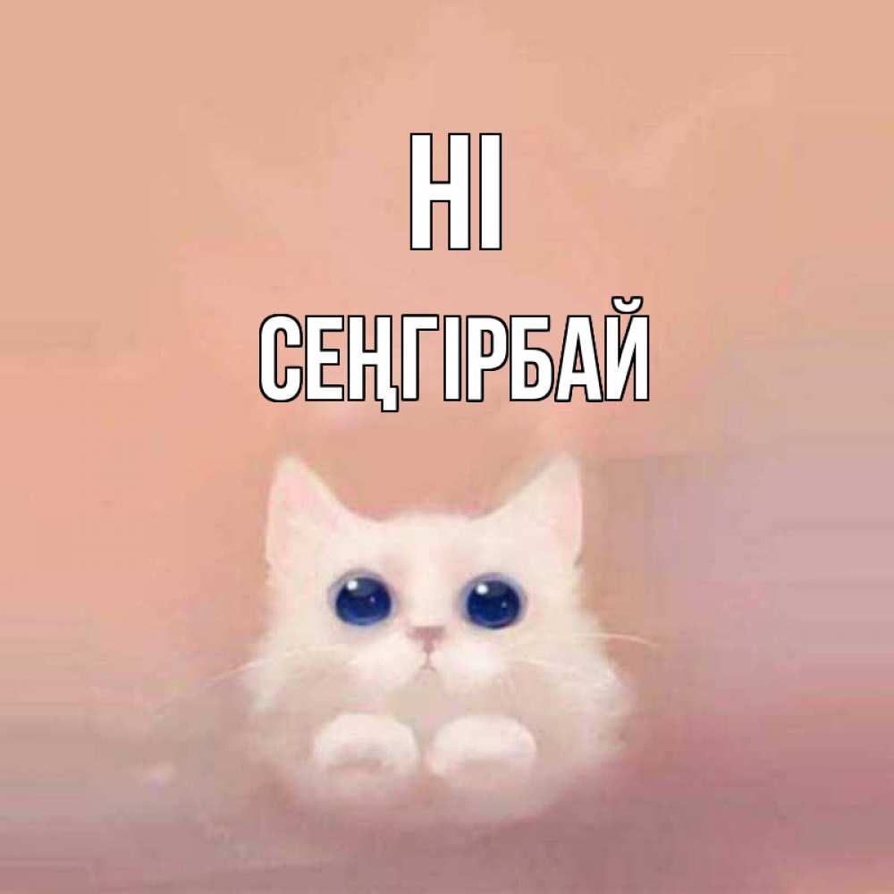 Greetings card с именем, СЕҢГІРБАЙ Hi котик белый в полете Greetings with text for free download 