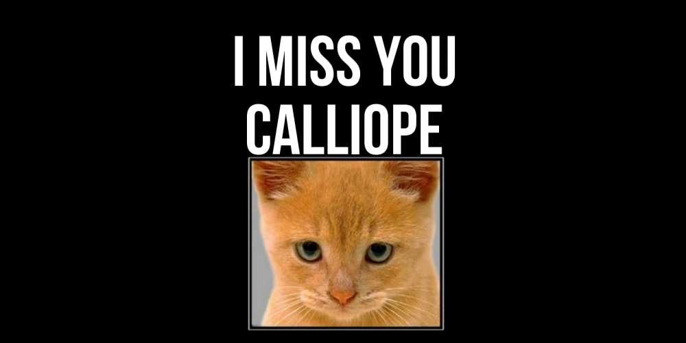 Greetings card с именем, Calliope I miss you открытки рыжий котенок скучает по тебе Greetings with text for free download 