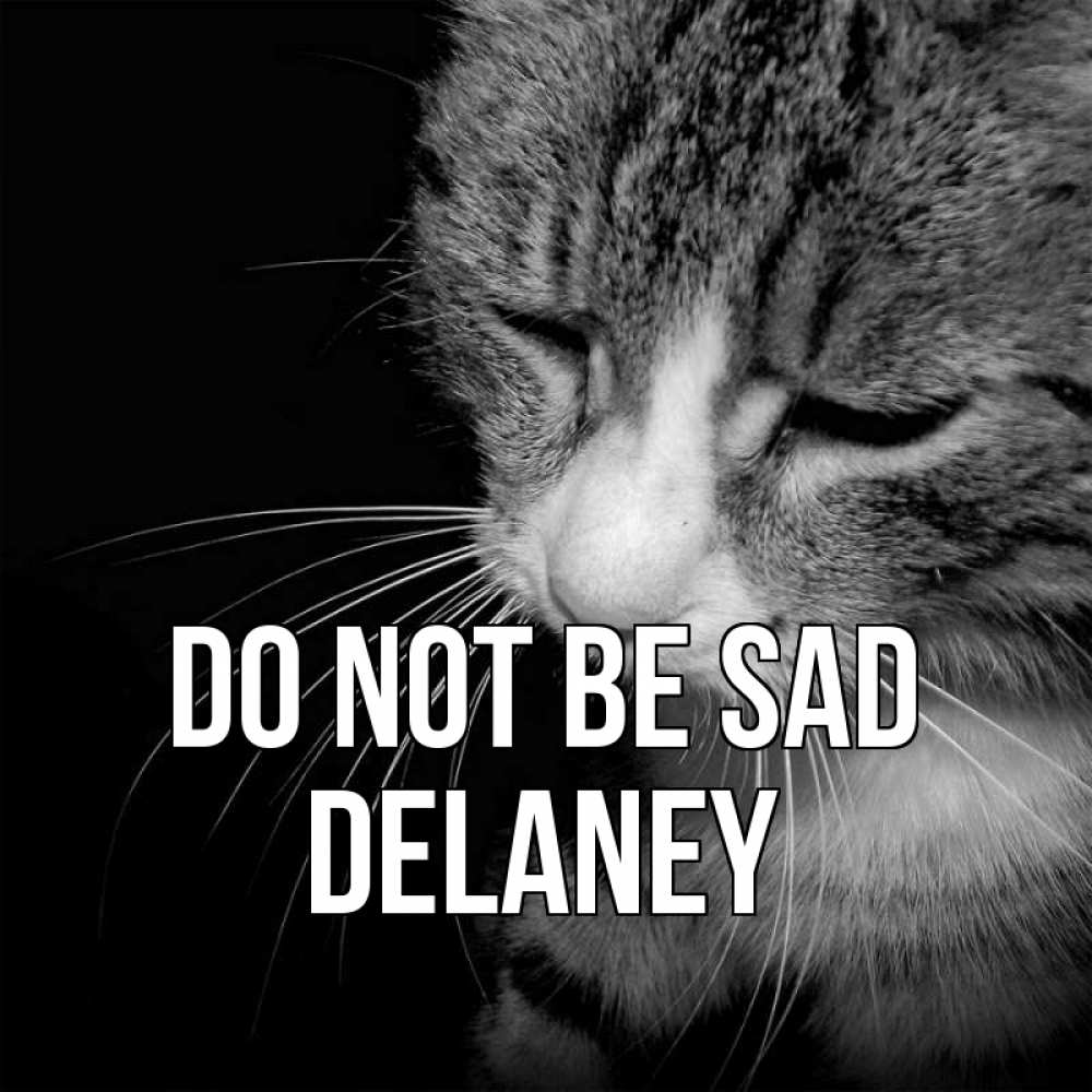 Greetings card с именем, Delaney Do not be sad грустный котик Greetings with text for free download 