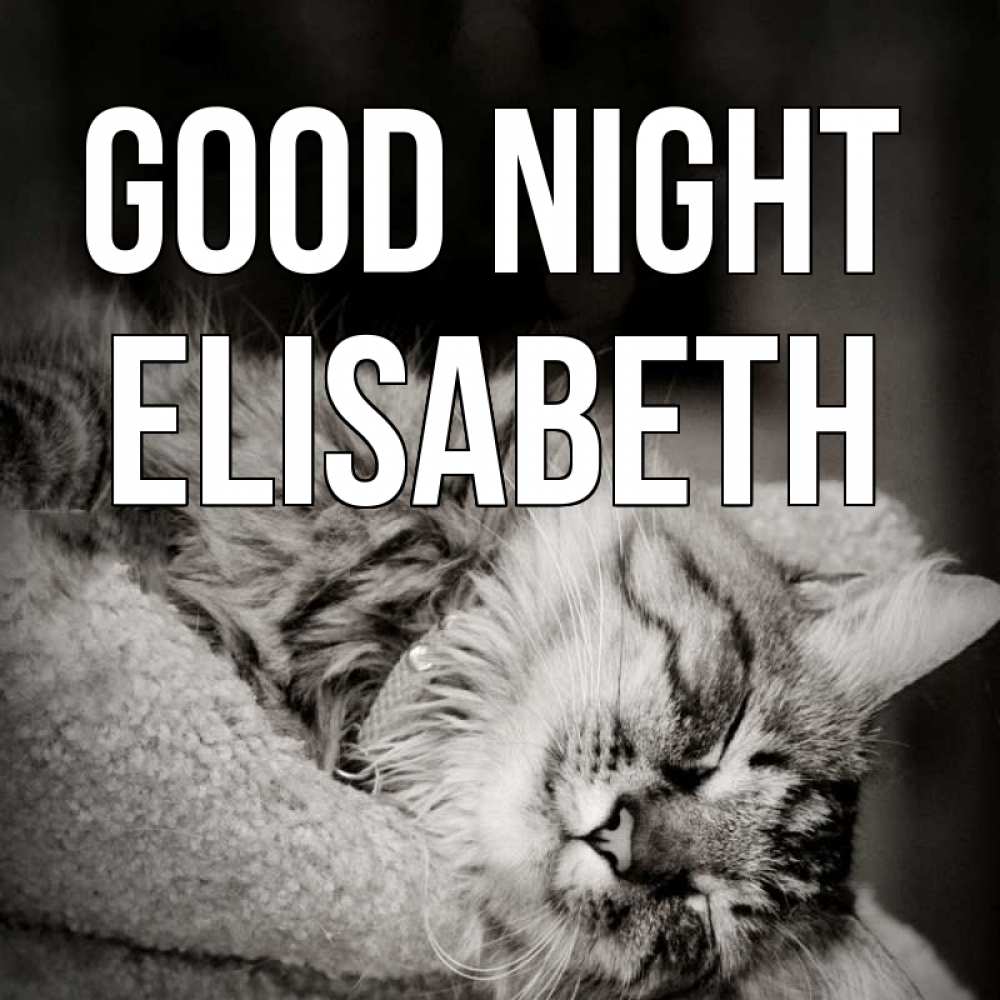 Greetings card с именем, Elisabeth Good night котярик пушистый Greetings with text for free download 