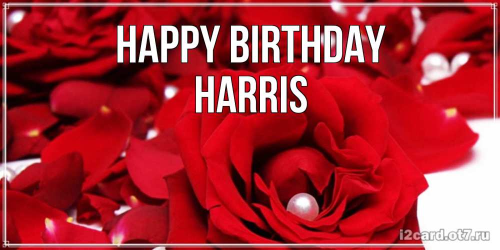 Greetings card с именем, Harris Happy Birthday роза с жемчужиной на открытке для любимых Greetings with text for free download 