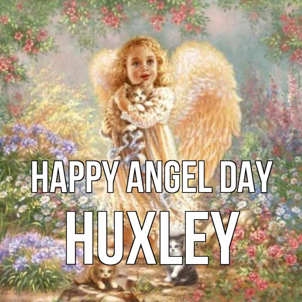 Greetings card с именем, Huxley happy angel day держит котенка Greetings with text for free download 