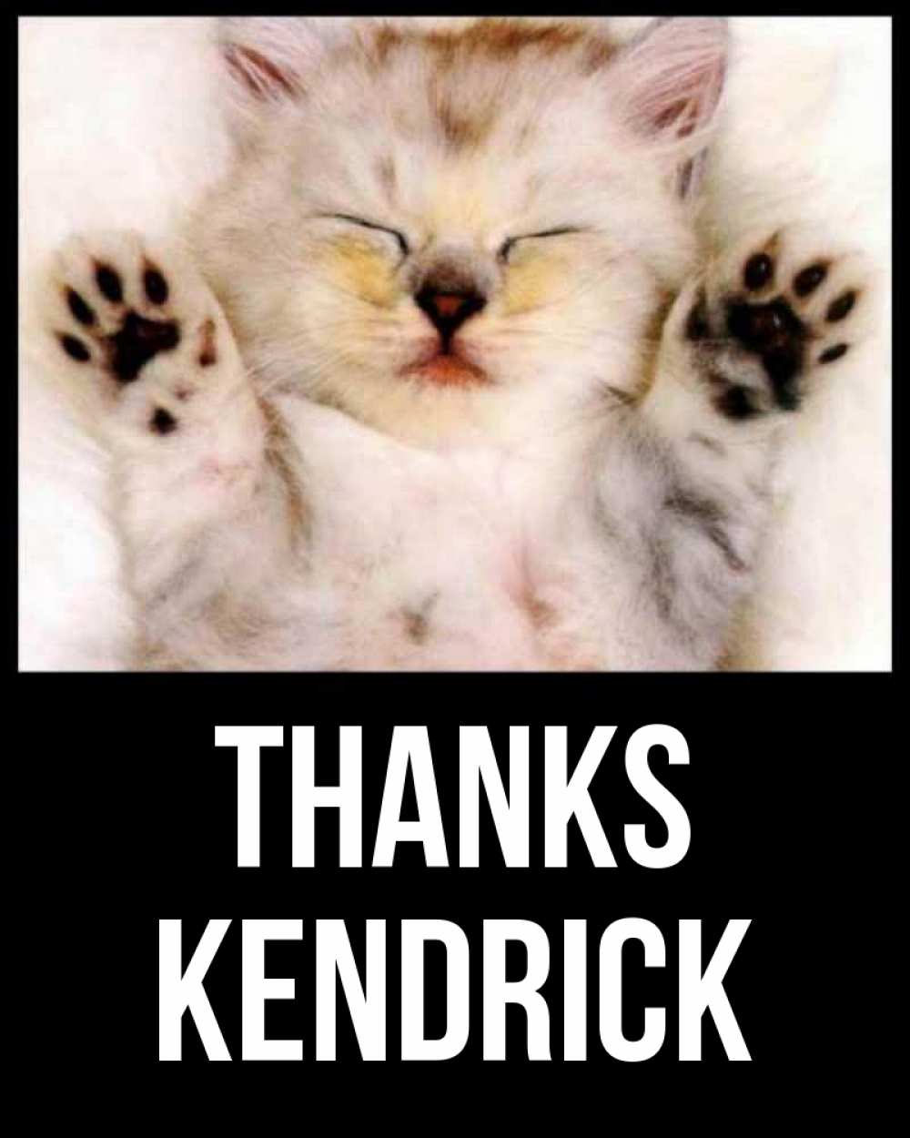 Greetings card с именем, Kendrick Thanks маленький котенок Greetings with text for free download 