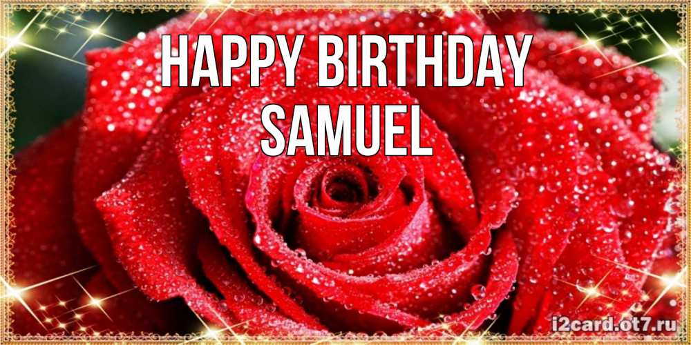Greetings card с именем, Samuel Happy Birthday роса и роза. открытка с красивой розой Greetings with text for free download 