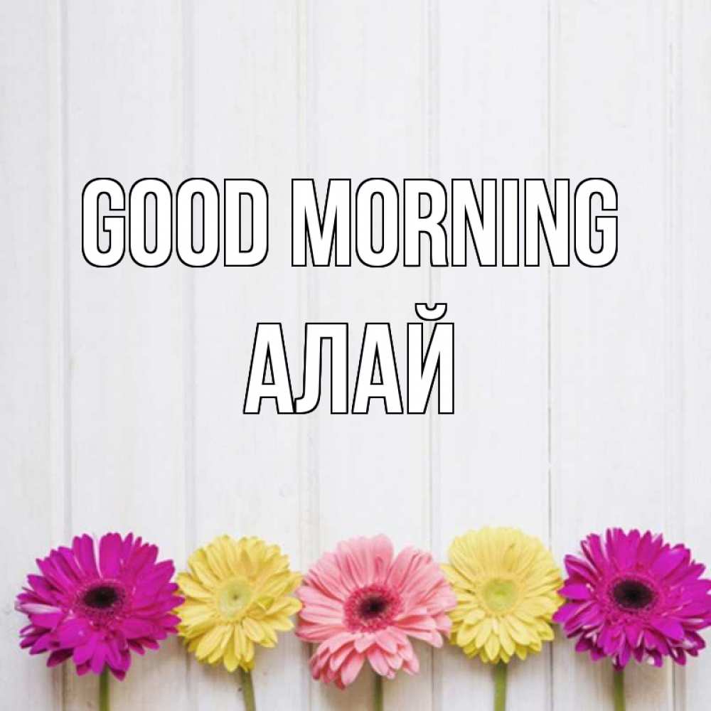 Greetings card с именем, Алай Good morning красный желтый и розовый цветок Greetings with text for free download 
