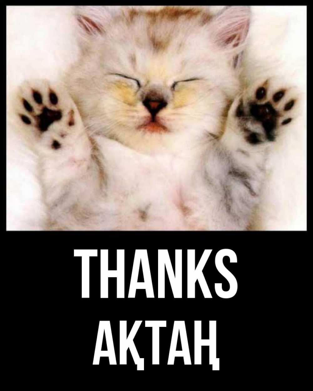 Greetings card с именем, Ақтаң Thanks маленький котенок Greetings with text for free download 