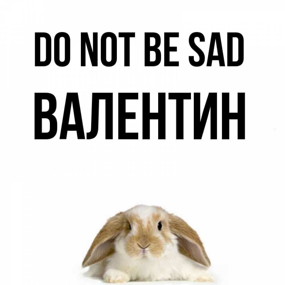 Greetings card с именем, Валентин Do not be sad коричнево белый заяц с большими ушками Greetings with text for free download 