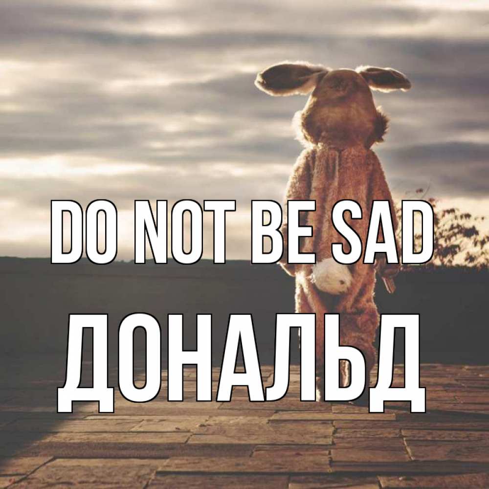 Greetings card с именем, Дональд Do not be sad со спины Greetings with text for free download 