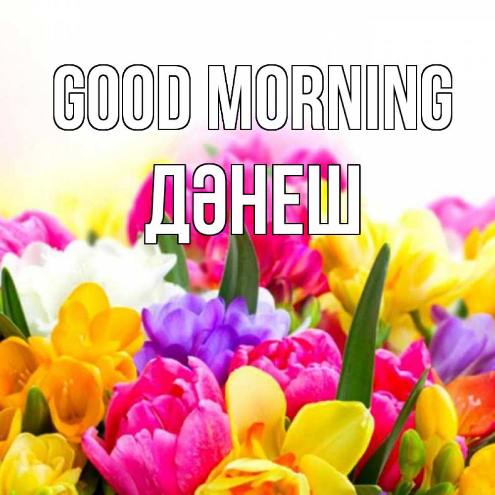 Greetings card с именем, ДӘНЕШ Good morning создать открытку со свое подписью Greetings with text for free download 