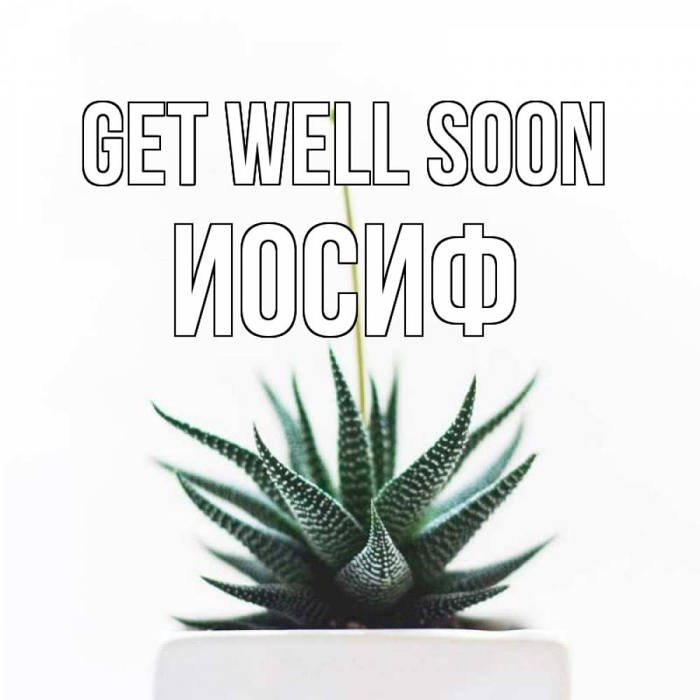 Greetings card с именем, Иосиф Get well soon короче это непонятная колючка Greetings with text for free download 