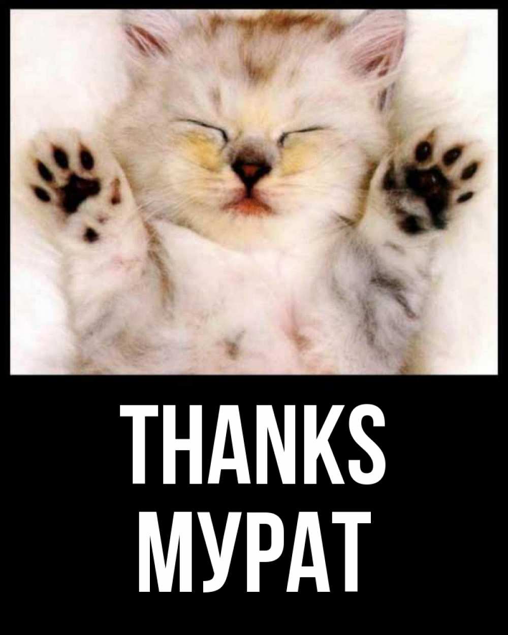 Greetings card с именем, Мурат Thanks маленький котенок Greetings with text for free download 